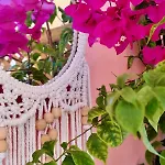 아파트 Reginas Studios & Apts-Bougainvillea In In The Heart Of Fiscardo With Private Terrace 피스카던