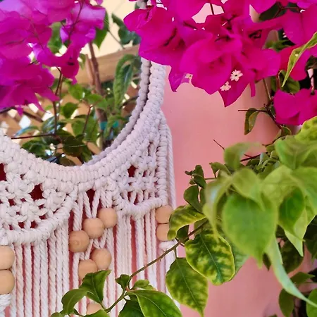 Apartment Reginas Studios & Apts-Bougainvillea Studio Suite Fiscardo With Private Terrace Fiskardo